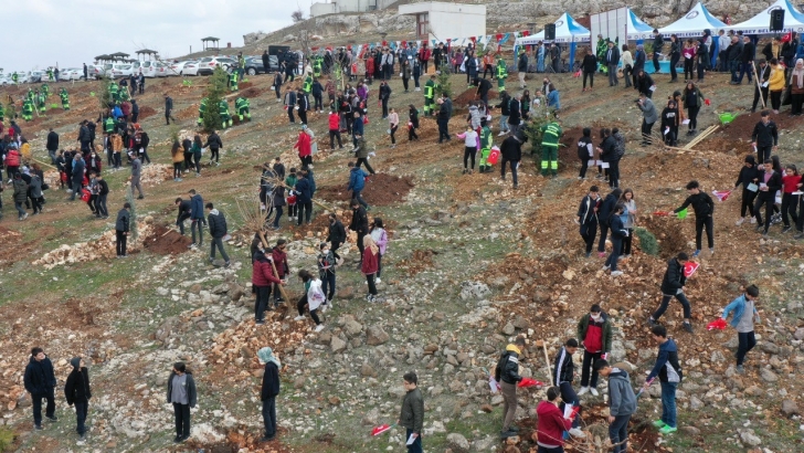 ŞAHİNBEY BELEDİYESİ AĞAÇLANDIRMA ÇALIŞMALARINI SÜRDÜRÜYOR